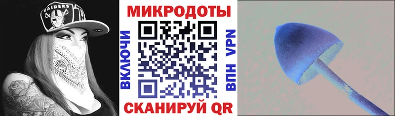 Купить закладки  Лесозаводск  Галлюциногенные грибы мухоморы 