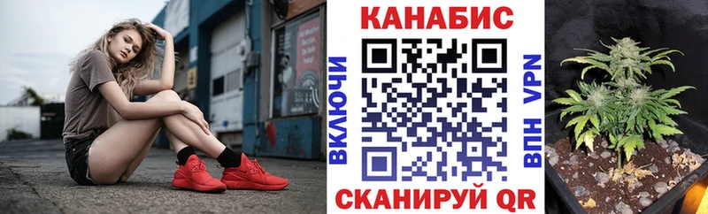 Конопля семена  Купить где  Лесозаводск 